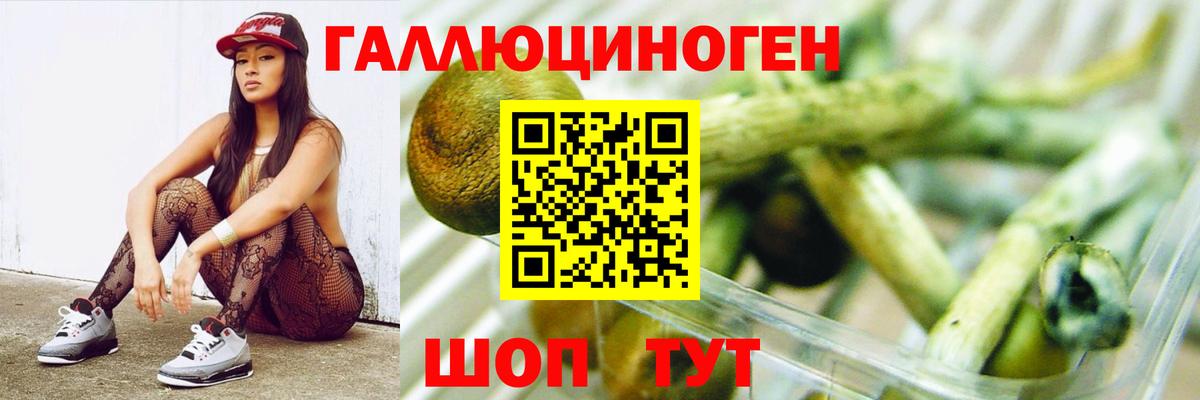 Вышний Волочёк  Галлюциногенные грибы GOLDEN TEACHER  где найти   Вход с VPN 
