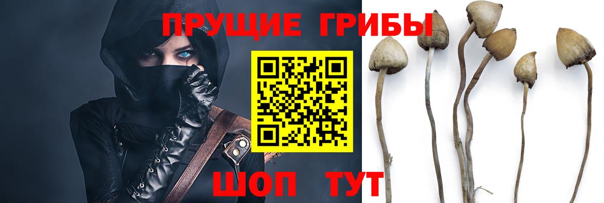 Галлюциногенные грибы мицелий Вышний Волочёк